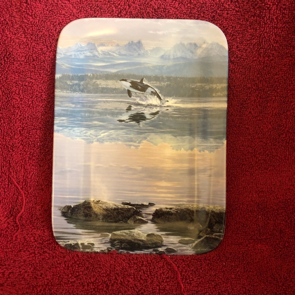 The Bradford exchange collectible plate, The Dawn’s Call series.